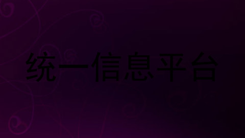 统一信息平台