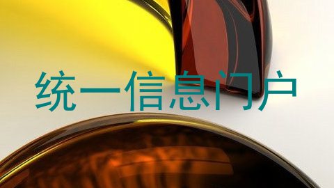 统一信息门户