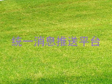 统一消息推送平台