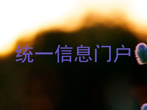 统一信息门户