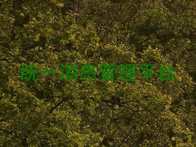 统一消息管理平台