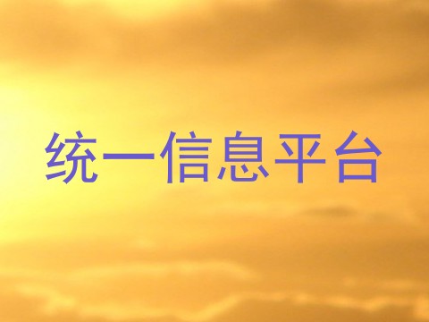 统一信息平台