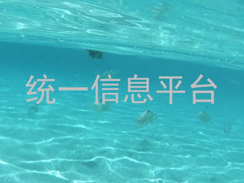 统一信息平台
