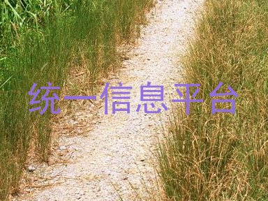 统一信息平台
