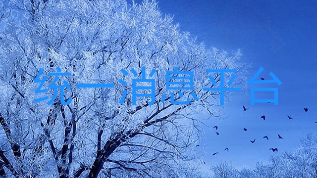统一消息平台