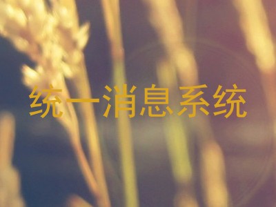 统一消息系统