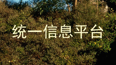 统一信息平台