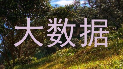大数据