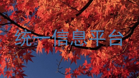 统一信息平台