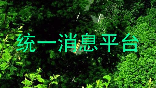 统一消息平台