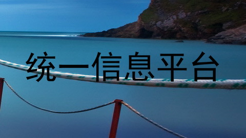 统一信息平台