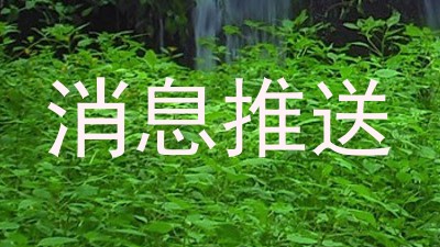消息推送
