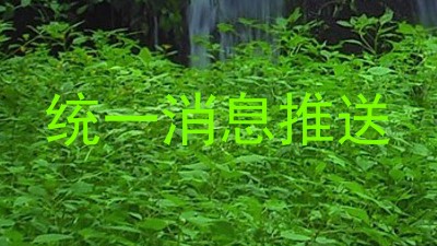 统一消息推送