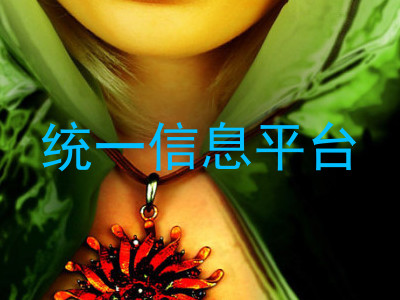 统一信息平台