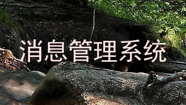 消息管理系统