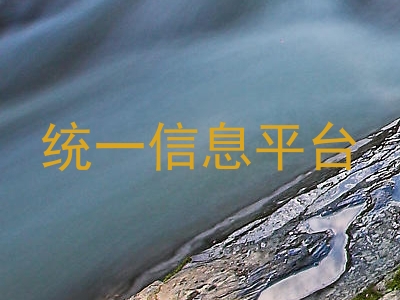统一信息平台