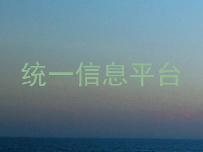 统一信息平台