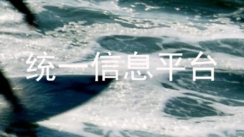 统一信息平台