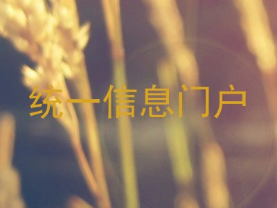 统一信息门户