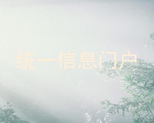 统一信息门户