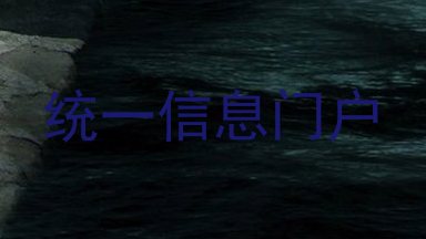 统一信息门户