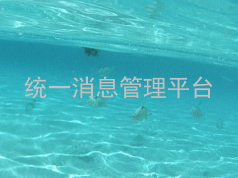 统一消息管理平台