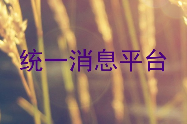 统一消息平台