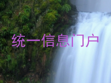 统一信息门户