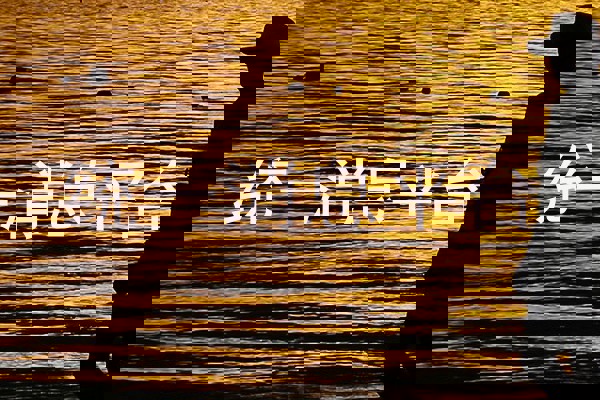 统一消息管理平台