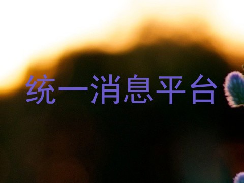 统一消息平台