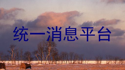 统一消息平台