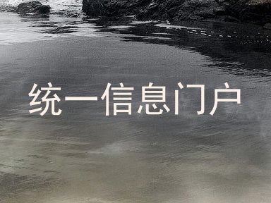统一信息门户