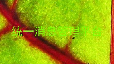 统一消息管理平台