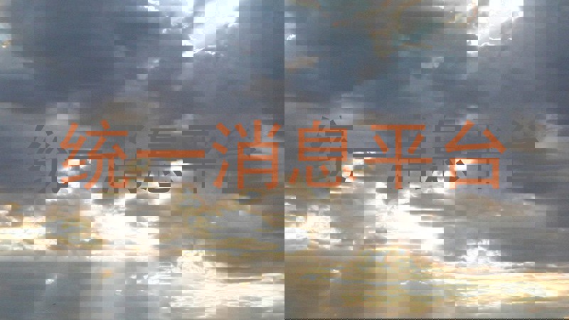 统一消息平台