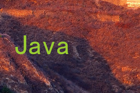 Java