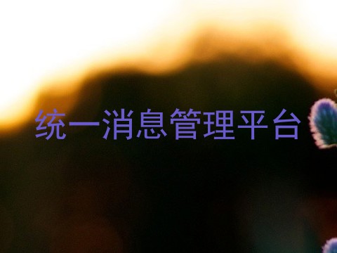 统一消息管理平台