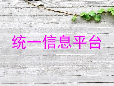 统一信息平台