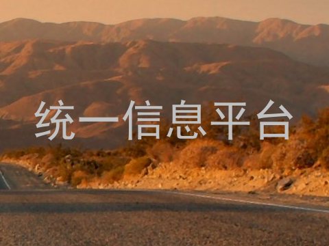 统一信息平台