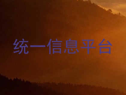 统一信息平台