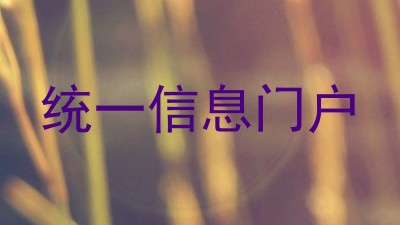 统一信息门户