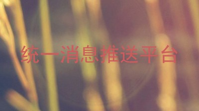 统一消息推送平台