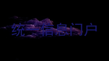 统一信息门户