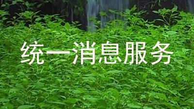 统一消息服务