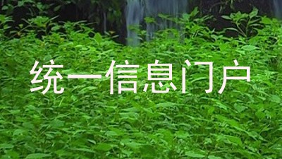 统一信息门户