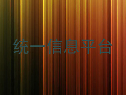 统一信息平台