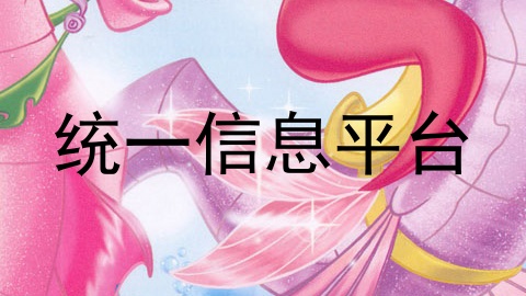 统一信息平台