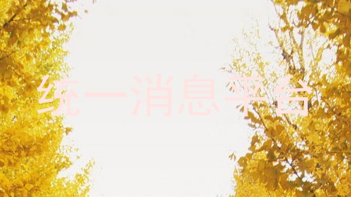 统一消息平台