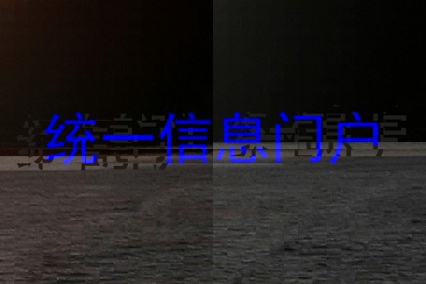 统一信息门户