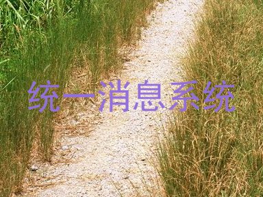 统一消息系统
