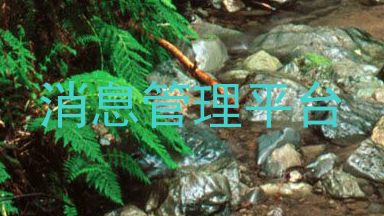 消息管理平台